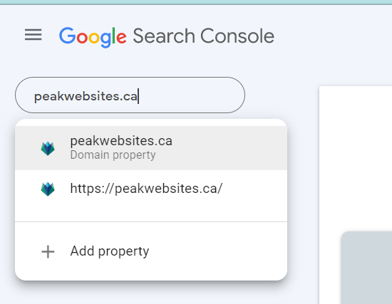 Finding your domain in Google Search Console